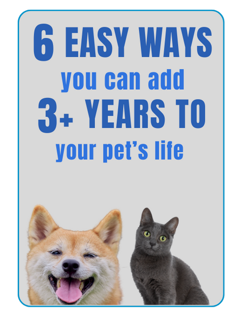 Pet Health E-Book