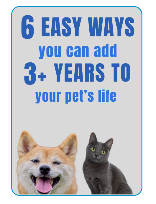 Pet Health E-Book