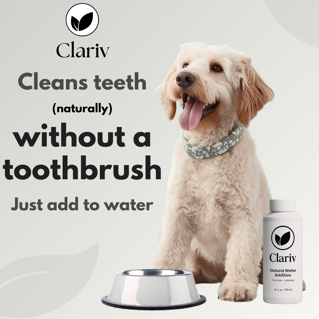 Clariv Natural Water Additive