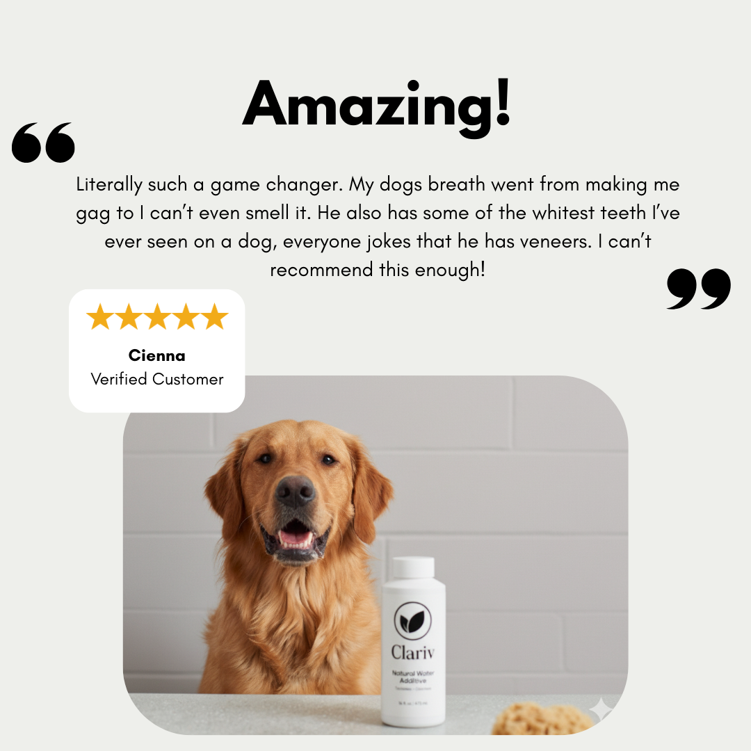 Clariv Natural Water Additive