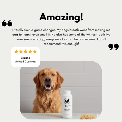 Clariv Natural Water Additive